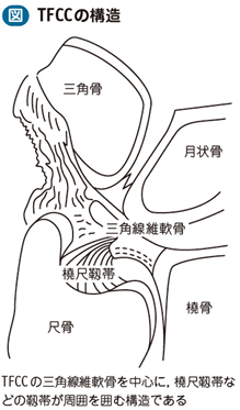 TFCC会報誌　10冊 三角線維軟骨複合体損傷（TFCC損傷） – 日本医事新報社