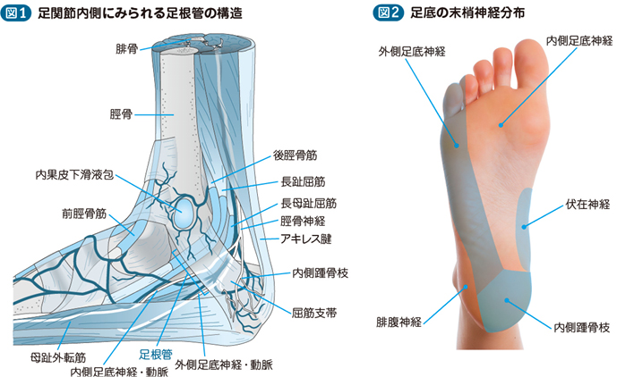 手根・足根針 【公式通販】