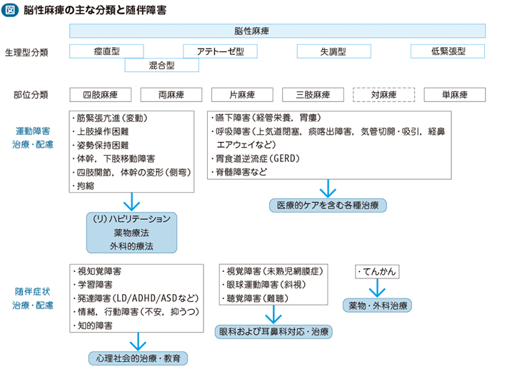 脳性麻痺 – 日本医事新報社
