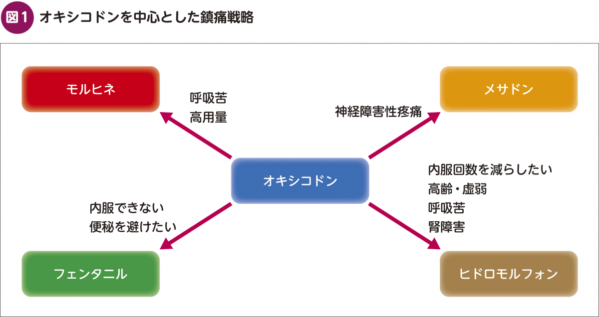 FOCUS：〈キャラクターで理解する〉 鎮痛薬処方の方程式 – 日本医事新報社