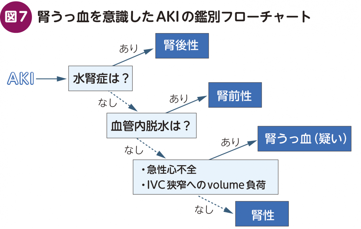 FOCUS_Digest：腎うっ血の正体に迫る – 日本医事新報社