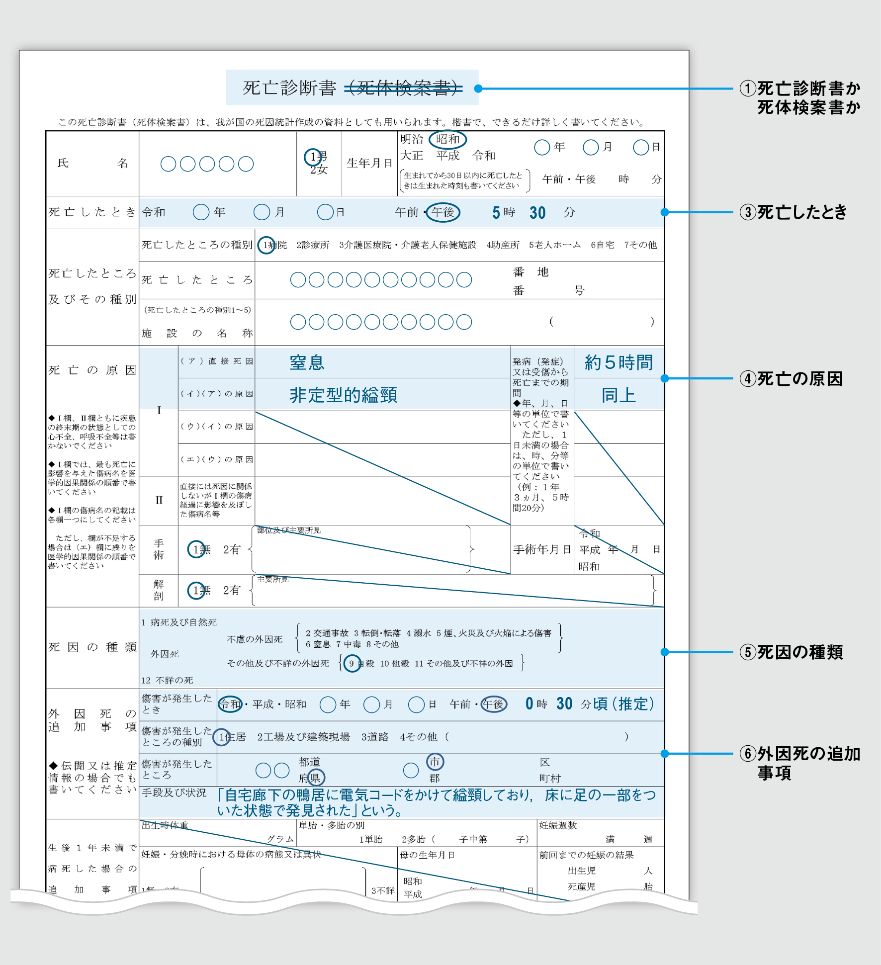 最新徒手医学　痛みの診察方（紙カバー無し） 危ない症候を見分ける臨床判断 – 株式会社じほう