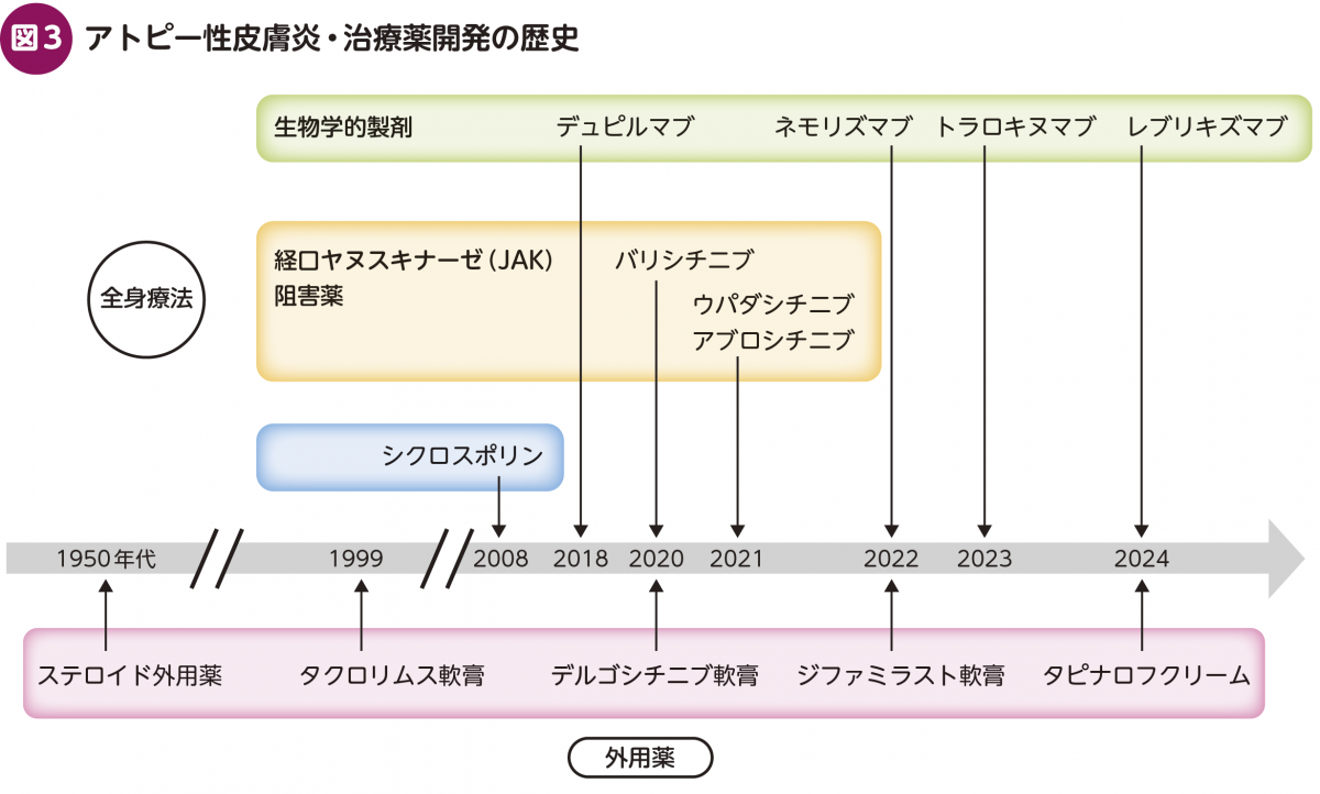 皮膚疾患最新の治療2023-2024 皮膚疾患最新の治療2025-2026 | 高橋健造, 佐伯秀久 |本 | 通販 | Amazon