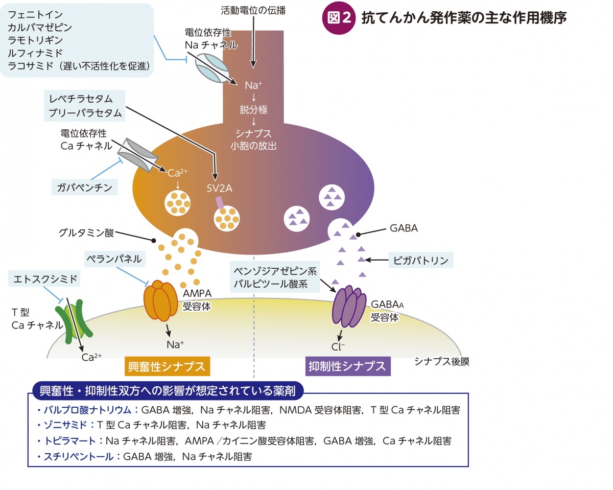 テスト作業中目次追加 – 日本医事新報社