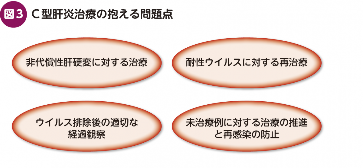 medicina 2015年 2月号 特集 ウイルス肝炎の薬物治療 変わりゆく治療戦略 C型肝炎に