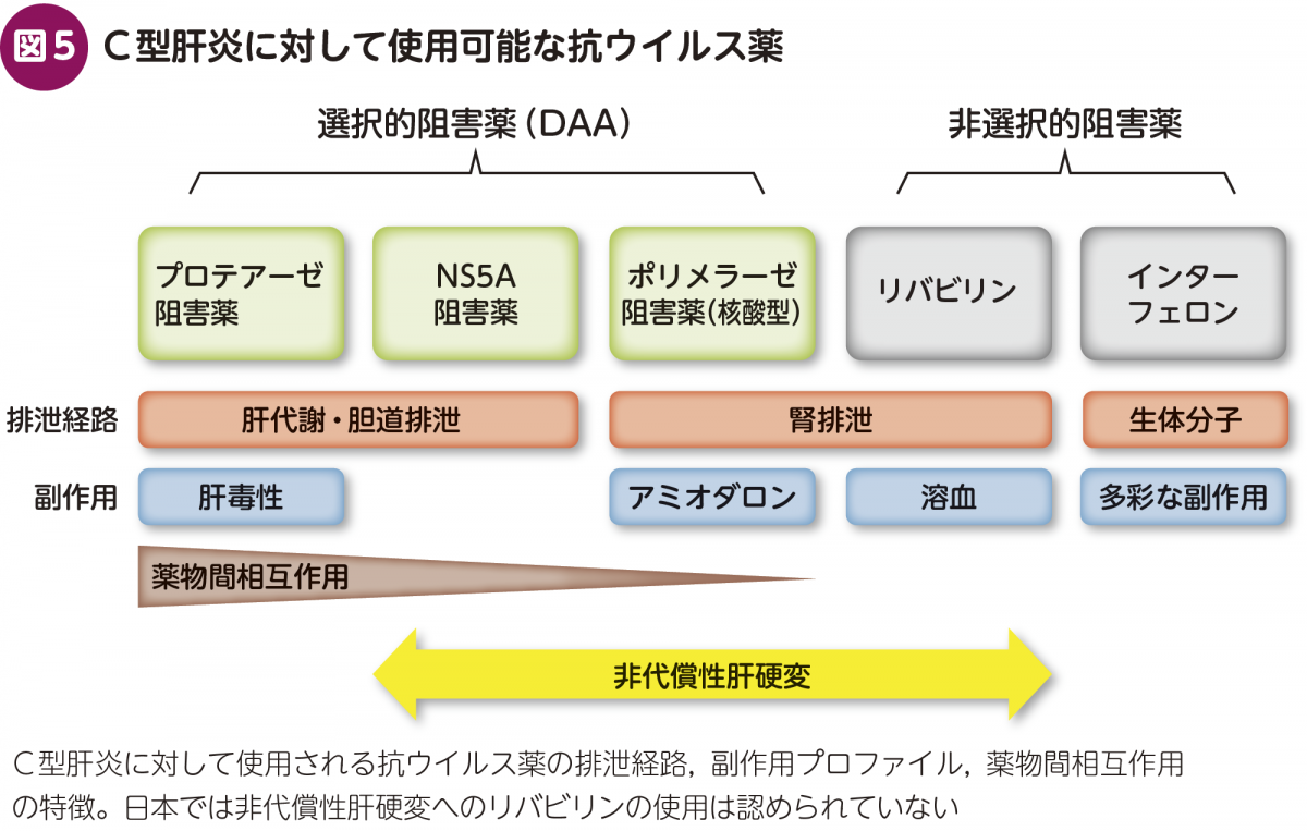 medicina 2015年 2月号 特集 ウイルス肝炎の薬物治療 変わりゆく治療戦略 テノホビルの適応とその治療効果 (medicina 52巻2号) | 医書.jp