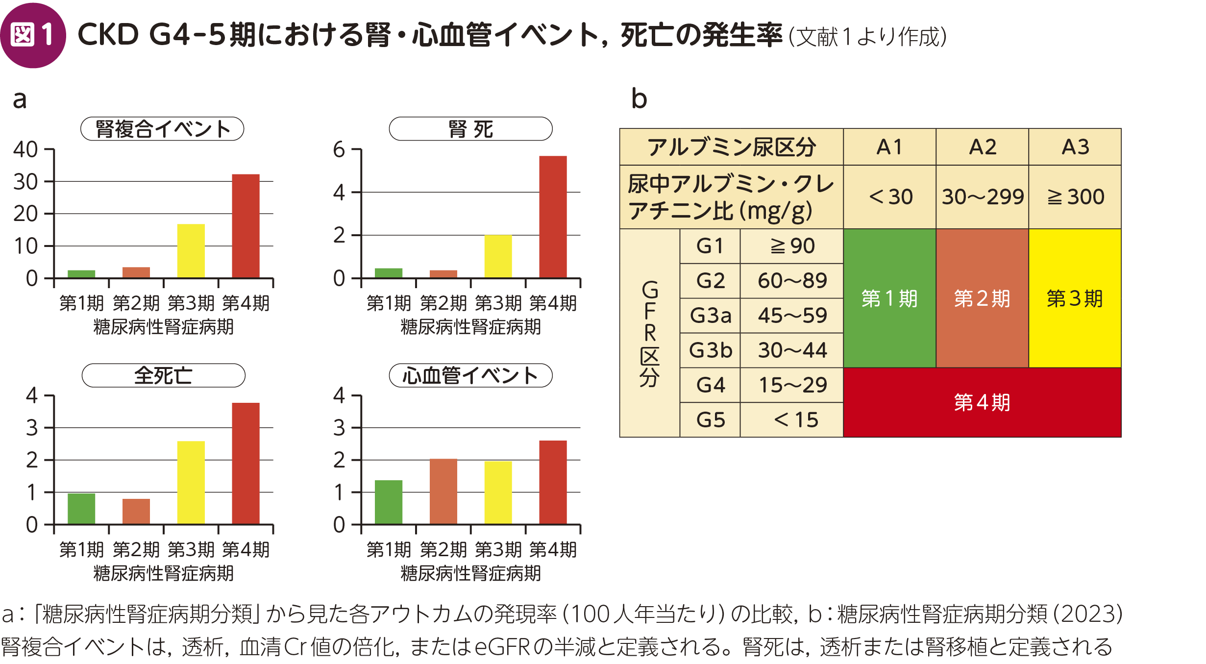 FOCUS：「諦めない・止めない」2型糖尿病合併CKD G4–5期治療 – 日本
