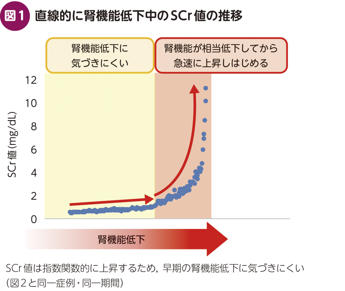 FOCUS：〈eGFRによる腎機能評価の工夫〉LTEP（Long term eGFR plot）のススメ – 日本医事新報社
