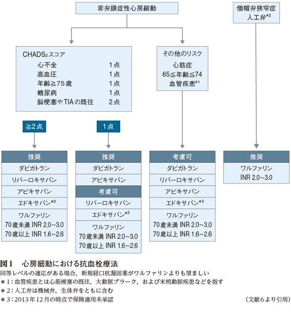 CardioーCoagulation Vol.4 No.2 2017-循環器における抗凝固療法 心房細動リスクスコアを整理する 心房細動②│不識庵-万年研修医のブログ-
