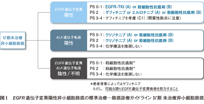 アレルギー総合診療のための分子標的治療の手引き　2025 日本アレルギー学会【公式】 on X: 