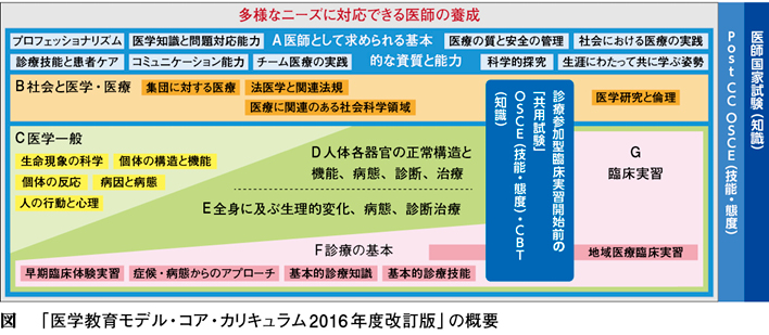 ここが聞きたい】「コアカリ」改訂で医学教育はどう変わる