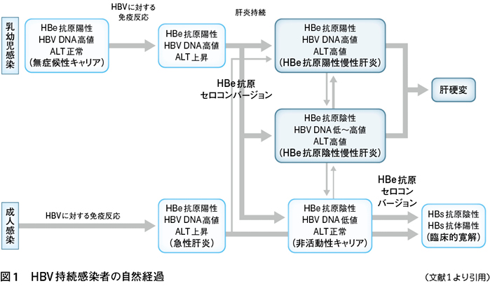 1）﻿B型肝炎の診療ガイドライン─HBV再活性化も含めて［特集：B型肝炎
