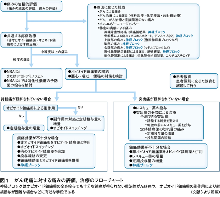 2）モルヒネによる特殊な“がん疼痛”緩和［特集：意外に知られていない