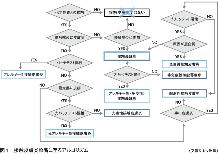 3）職業性アレルギー性皮膚疾患の診かた［特集：職業性アレルギー疾患