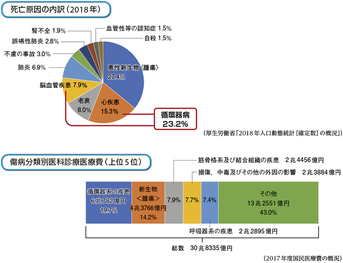 医療　医師　医者　医学　まとめ売り　内科　循環器　薬理学　診療 医療 医師 医者 医学 まとめ売り 内科 循環器 薬理学 診療 No.6 本・雑誌・