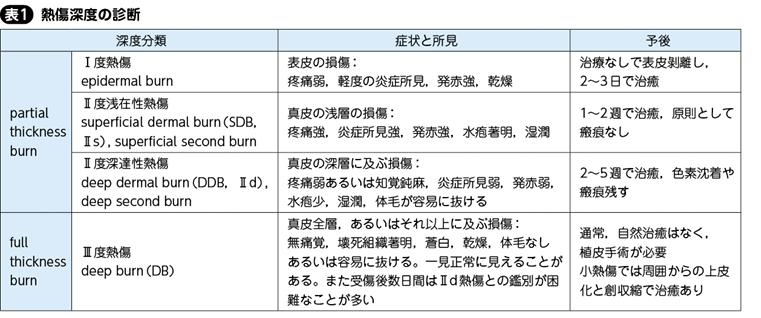 熱傷［私の治療］ – 日本医事新報社