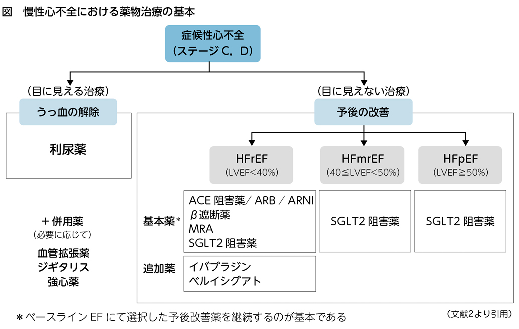 慢性心不全［私の治療］ – 日本医事新報社