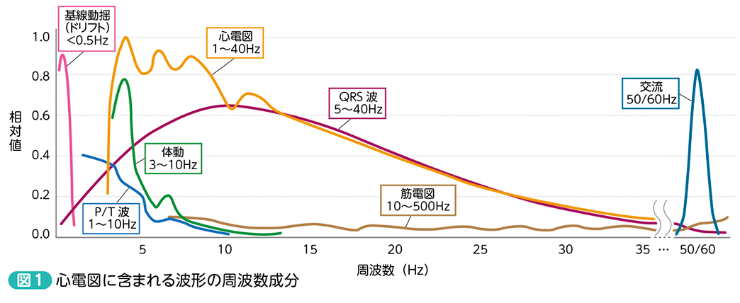 実践！心電図フィルタ【前編】／ECG filtering in practice［Dr.ヒロの
