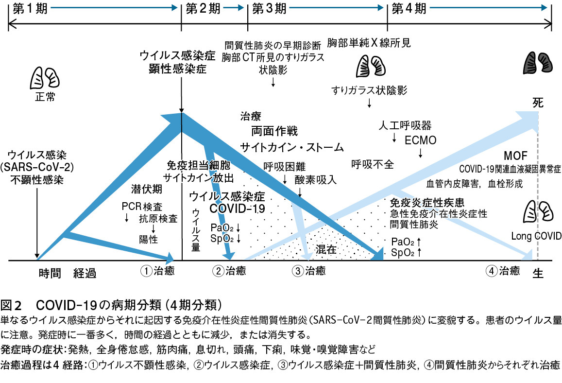 緊急寄稿］COVID-19における薬剤治験のあり方─移植感染症学の視点から