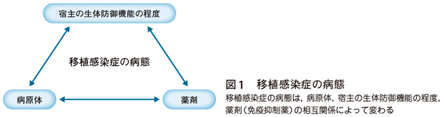緊急寄稿］移植感染症学は新興感染症を理解するために重要な学問