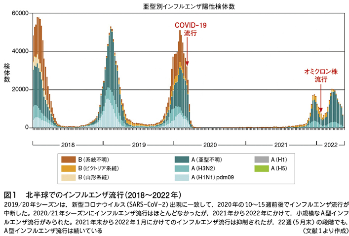 緊急寄稿］今季はインフルエンザ，COVID-19同時流行に警戒─世界では