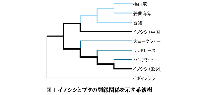 【文献】